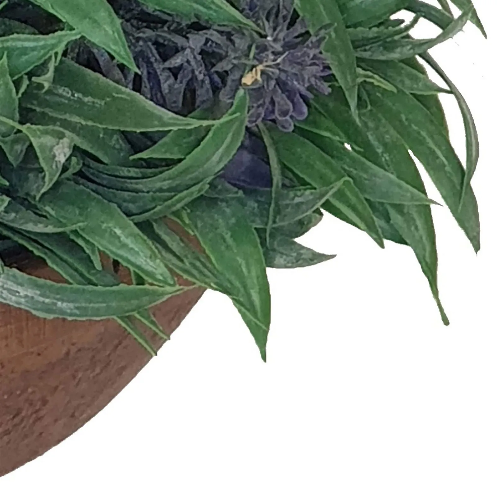 Green With Purple Flowers 20cm Artificial Plant by Criterion