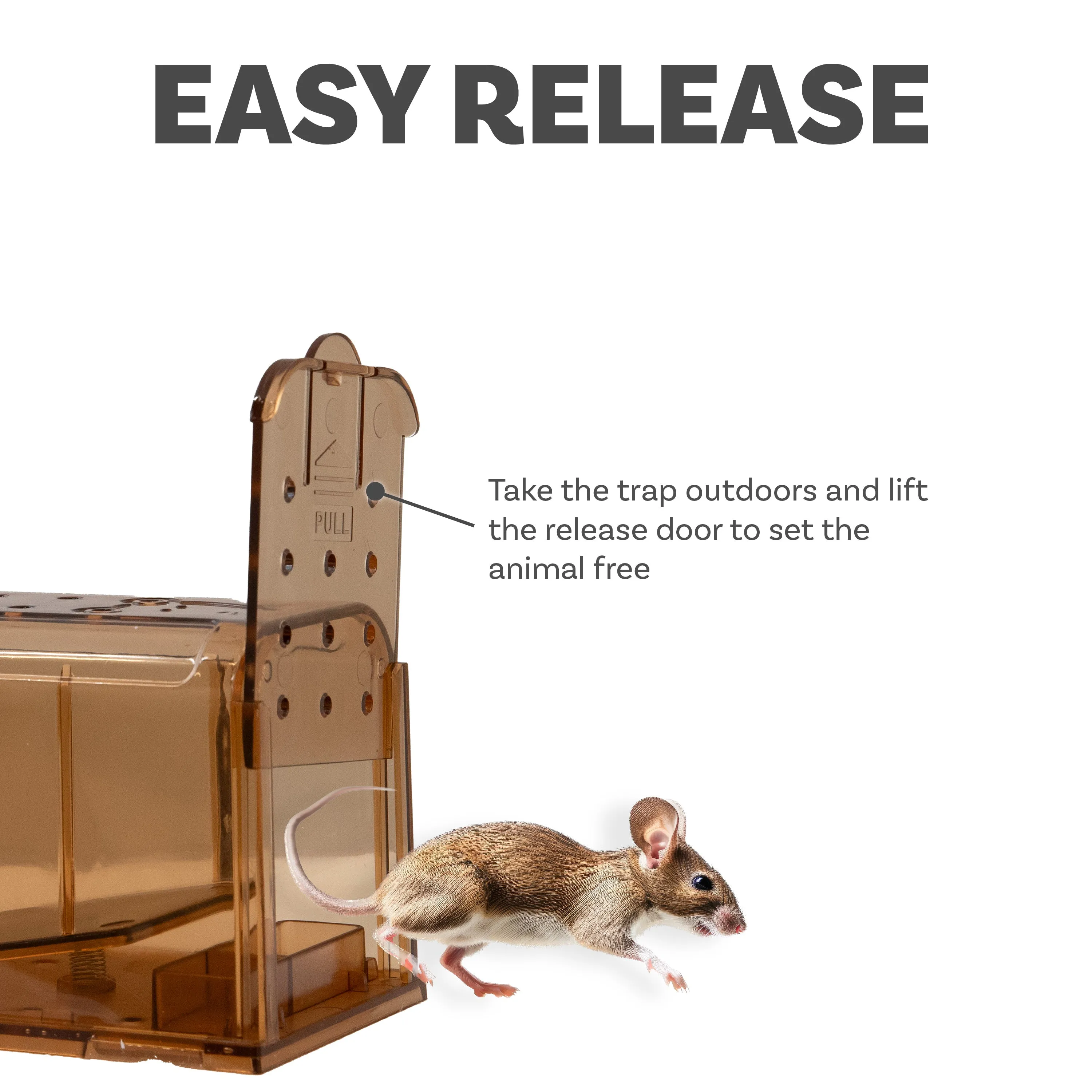 Sunnydaze Catch and Release Humane Mouse Trap - Indoor and Outdoor Use - 4-Pack