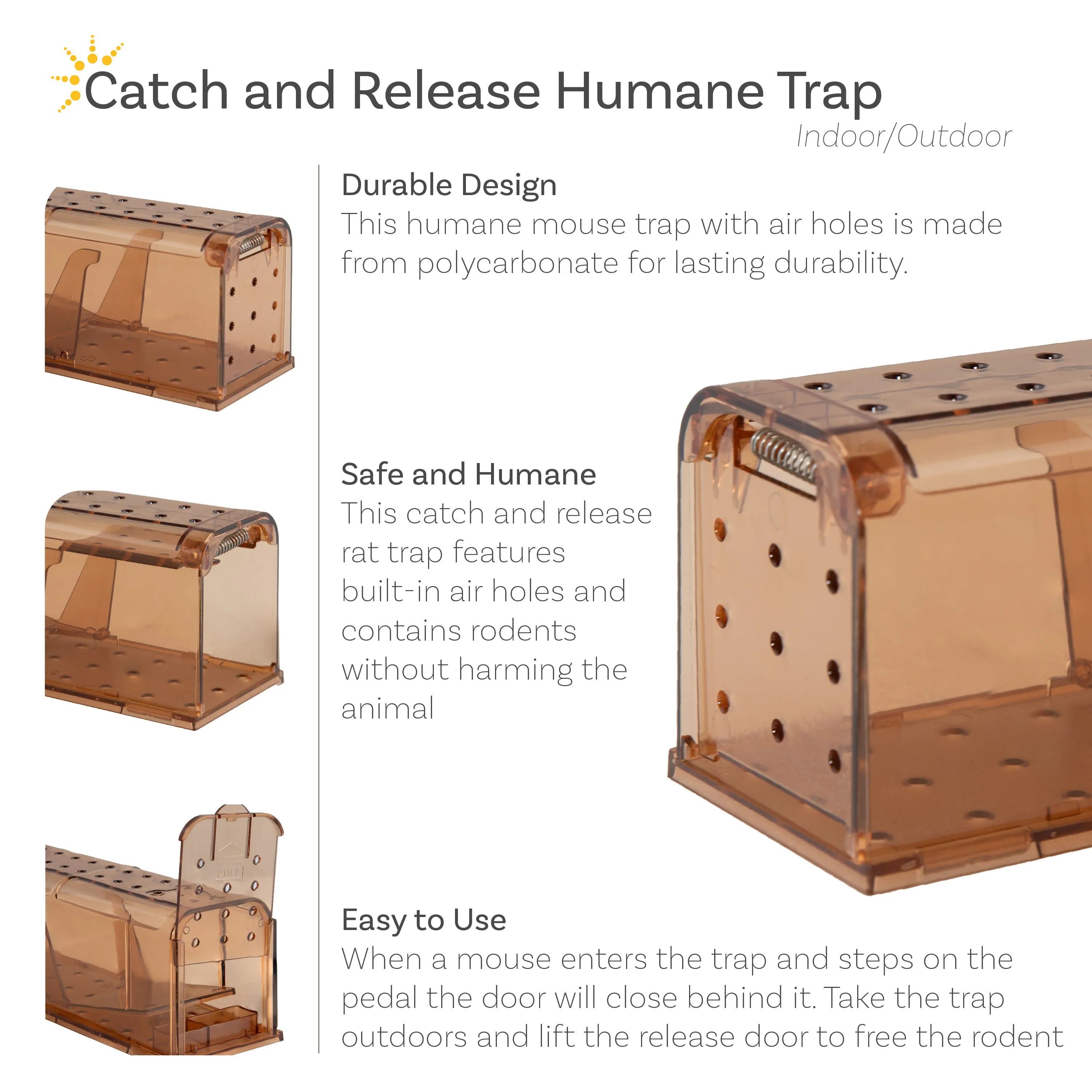 Sunnydaze Catch and Release Humane Mouse Trap - Indoor and Outdoor Use - 4-Pack