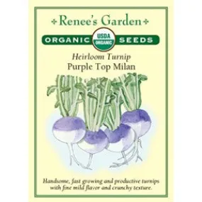 Turnip: Purple Top Milan, Heirloom Organic by Renee's Garden