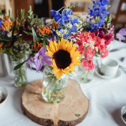 Wood Log Tree Slices - Rustic Wedding Centrepieces. (Varying Sizes 20cm - 47cm)